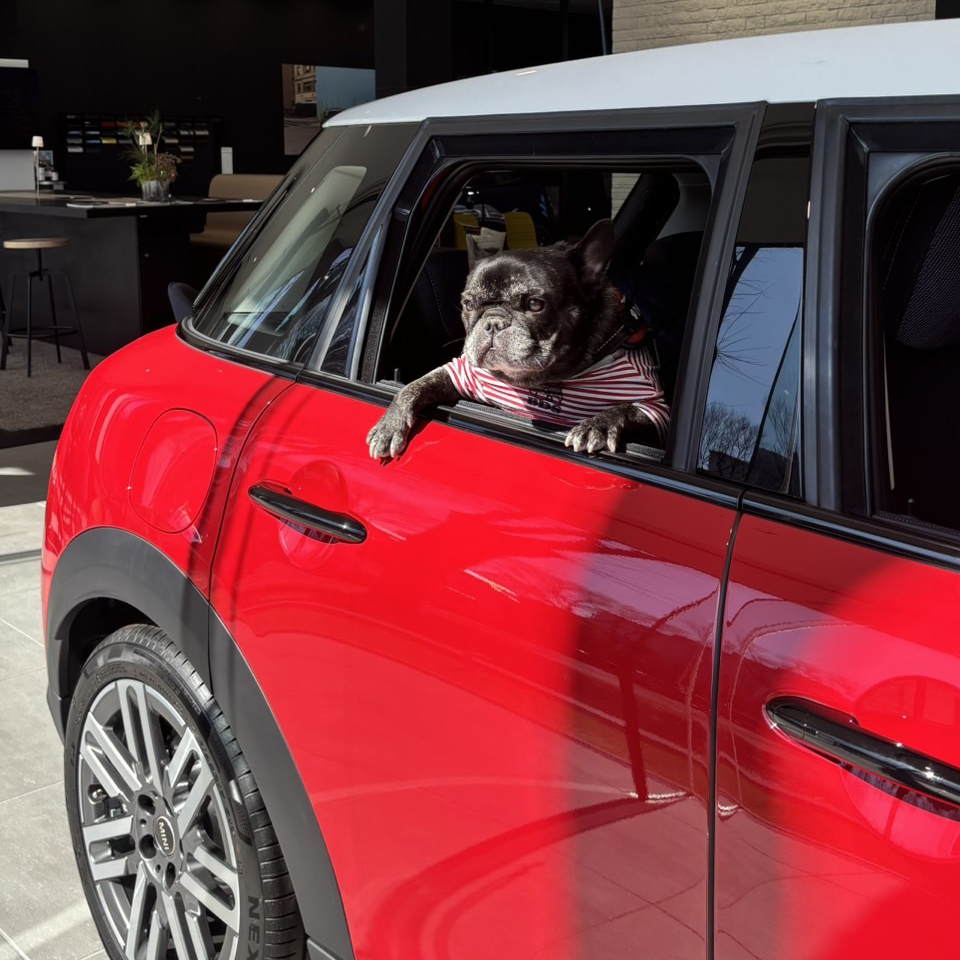 MINI DAY Photo 04