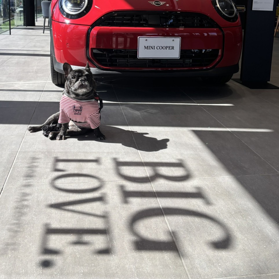 MINI DAY Photo 06